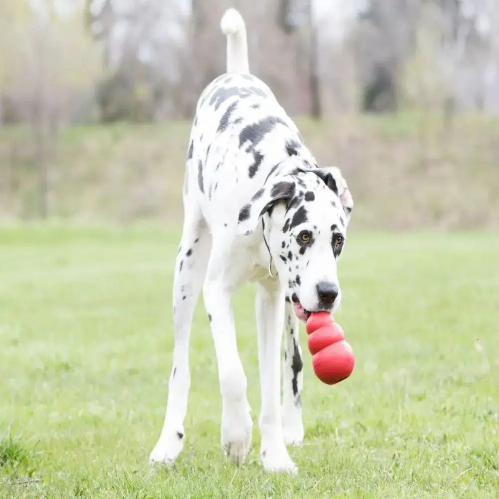 Classic Kong Dog Toys