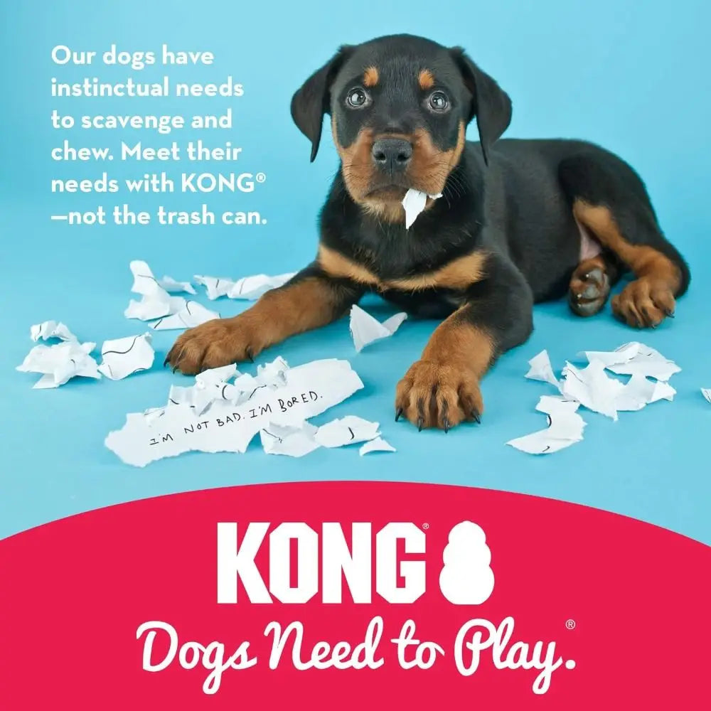 Classic Kong Dog Toys